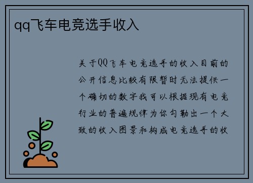 qq飞车电竞选手收入